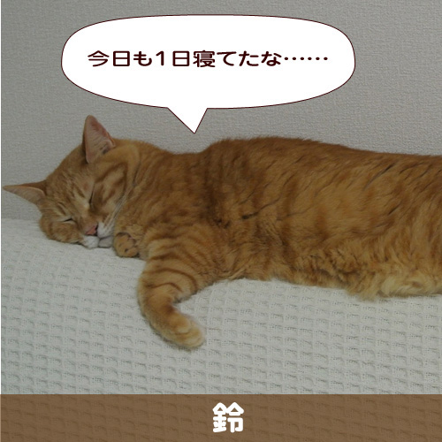 140301_touko.jpg