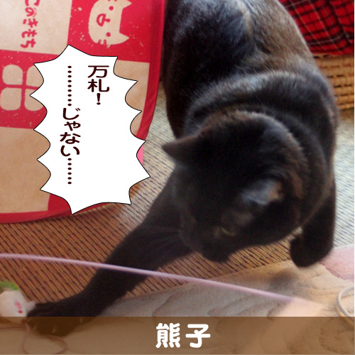 140302_touko.jpg
