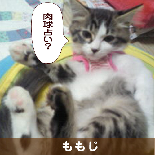 140303_touko.jpg
