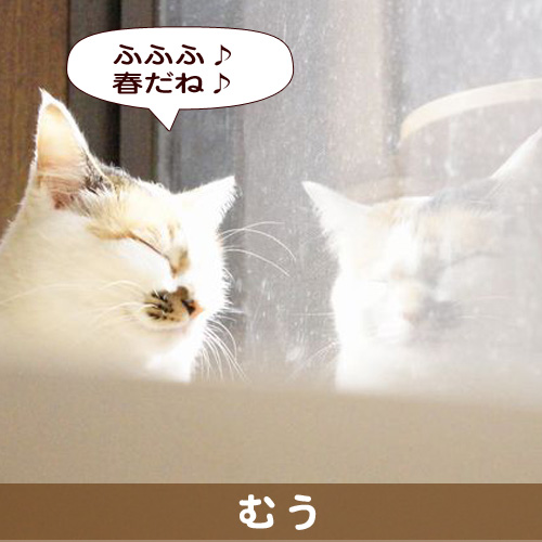 140304_touko.jpg