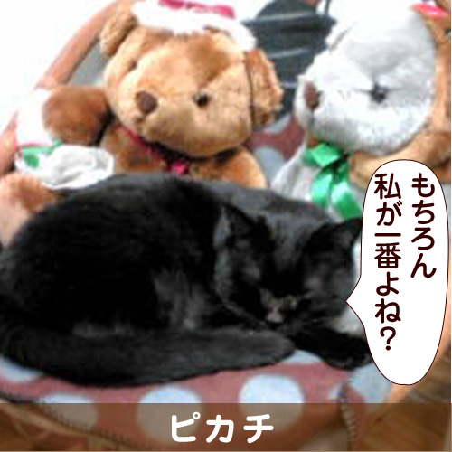 140305_touko.jpg
