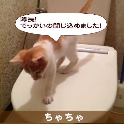 140306_touko.jpg
