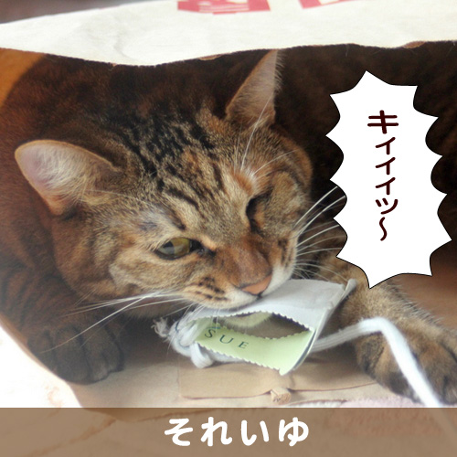 140307_touko.jpg