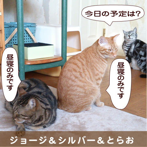 140308_touko.jpg