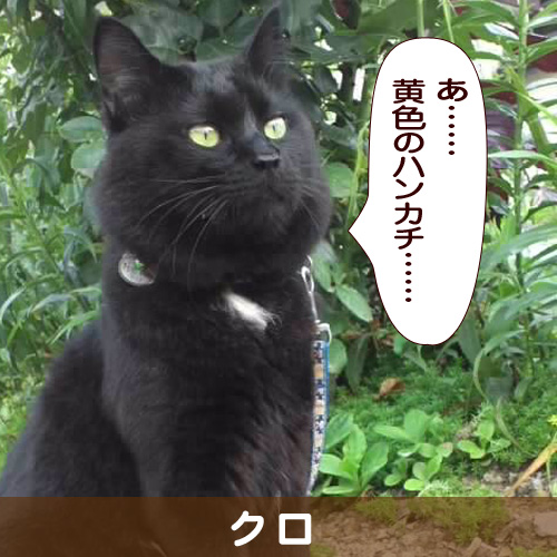 140309_touko.jpg
