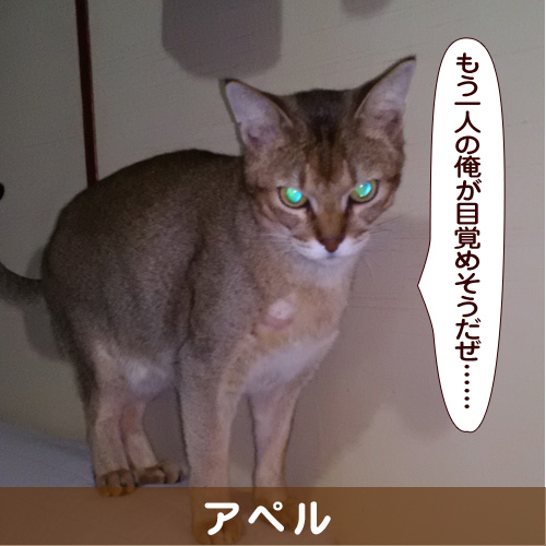 140310_touko.jpg