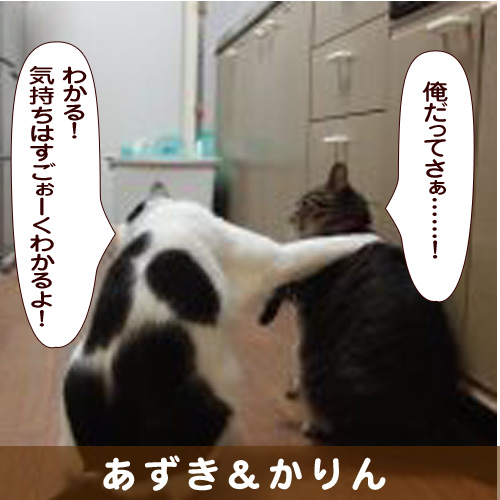 140312_touko.jpg