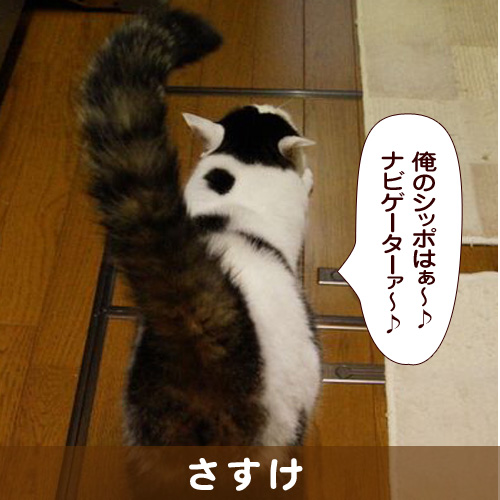 140314_touko.jpg