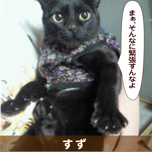 140315_touko.jpg