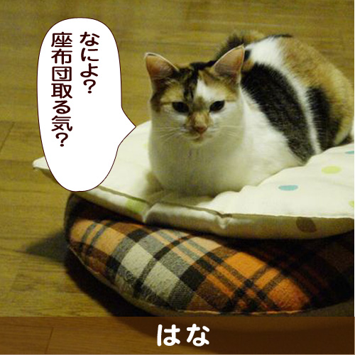 140317_touko.jpg