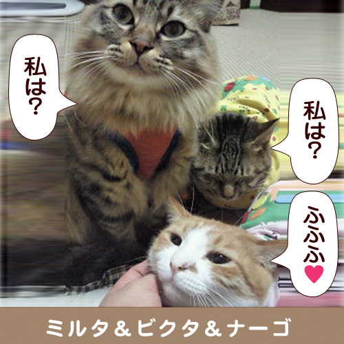 140318_touko.jpg