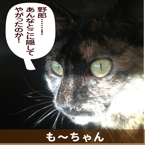 140319_touko.jpg