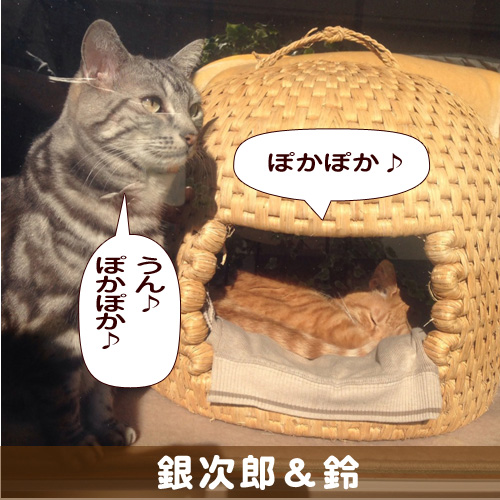 140320_touko.jpg