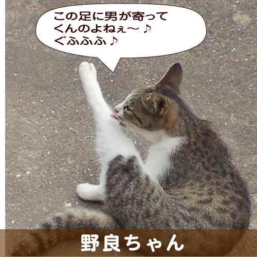 140321_touko.jpg