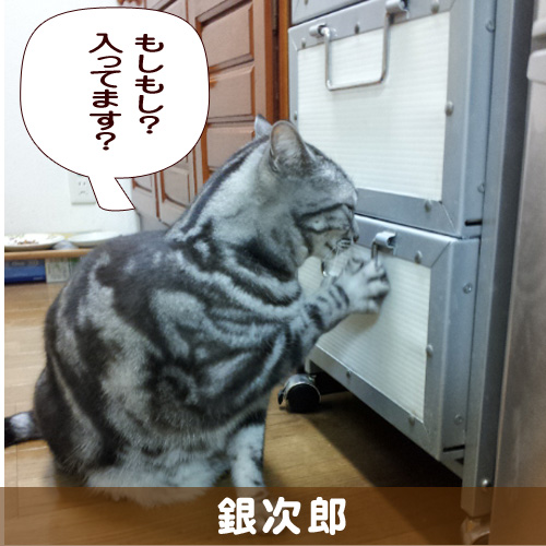 140323_touko.jpg