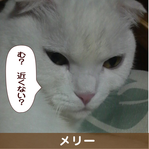 140324_touko.jpg