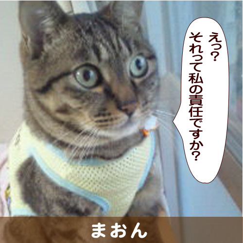 140325_touko.jpg