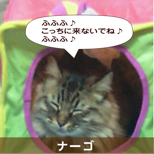 140326_touko.jpg