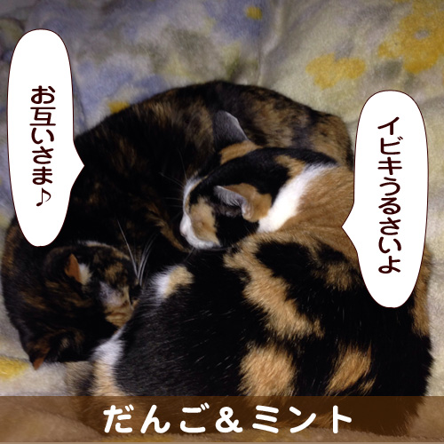 140327_touko.jpg