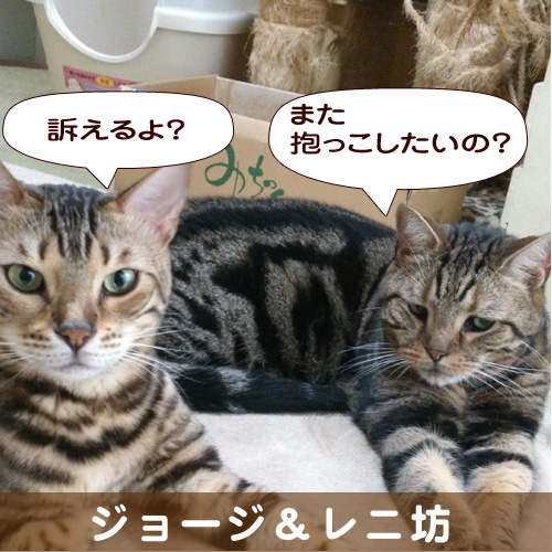 140328_touko.jpg