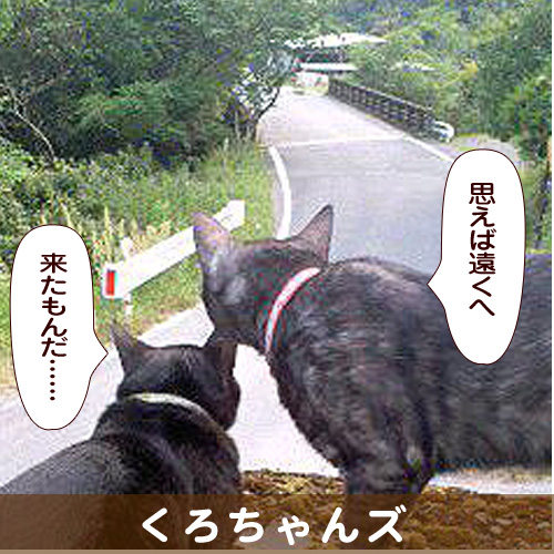 140329_touko.jpg