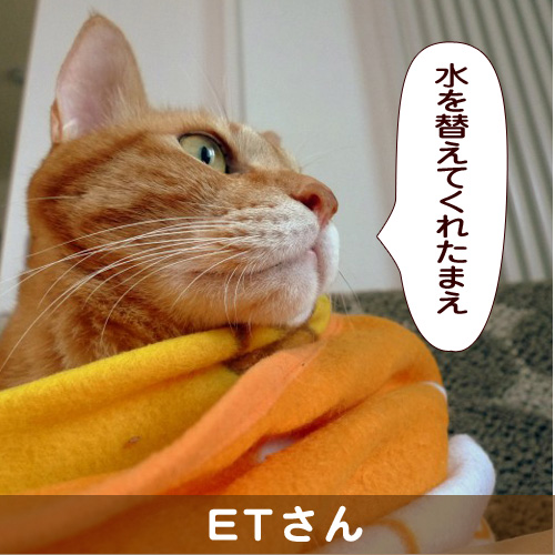 140331_touko.jpg
