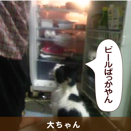140501_touko.jpg