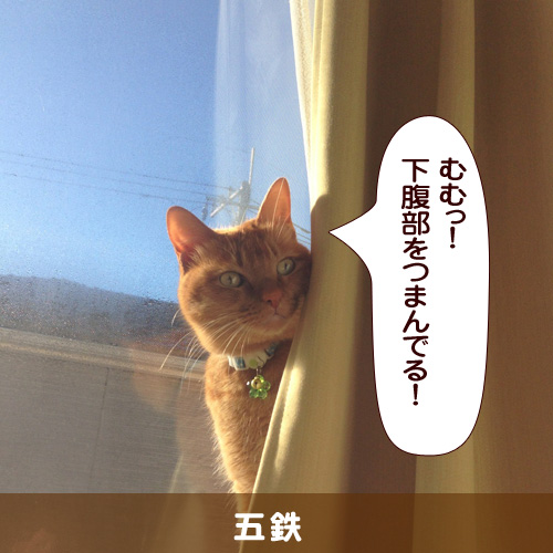 140502_touko.jpg