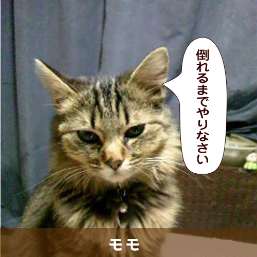 140505_touko.jpg