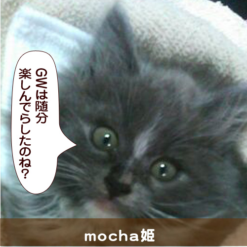 140506_touko.jpg