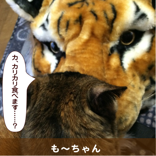 140508_touko.jpg