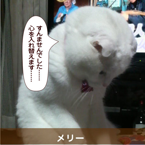 140509_touko.jpg
