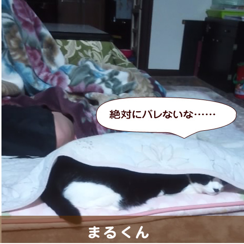 140510_touko.jpg