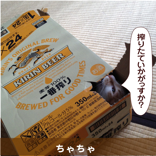 140511_touko.jpg