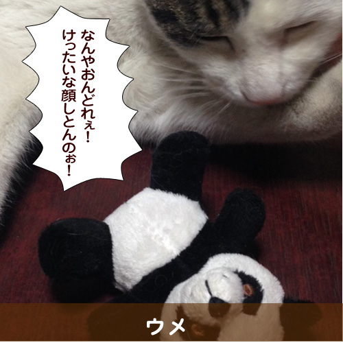 140616_touko.jpg