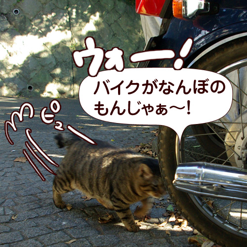 バイクがなんぼのもんじゃぁ～！