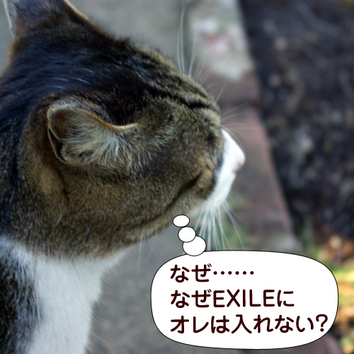 なぜ……なぜEXILEにオレは入れない？