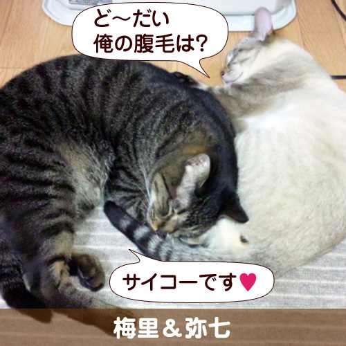 20111025_touko.jpg