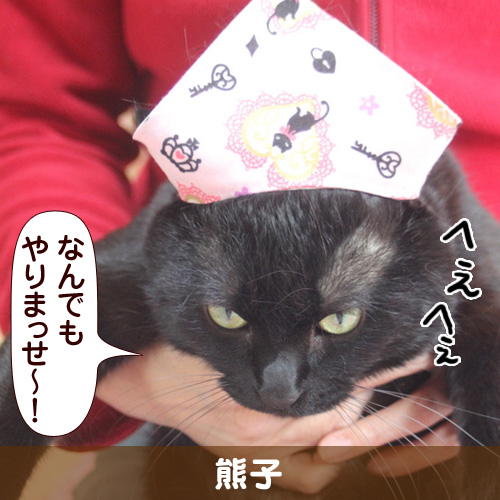 20111026_touko.jpg