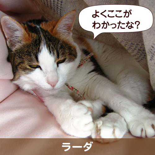 20111027_touko.jpg
