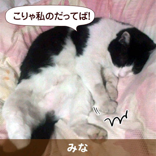20111028_touko.jpg