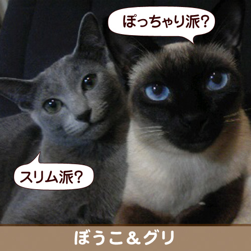 20111030_touko.jpg