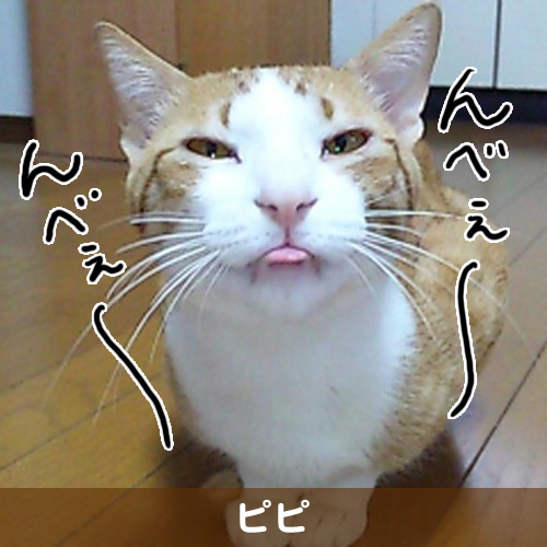 20111031_touko.jpg