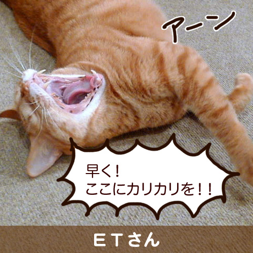 20111201.jpg