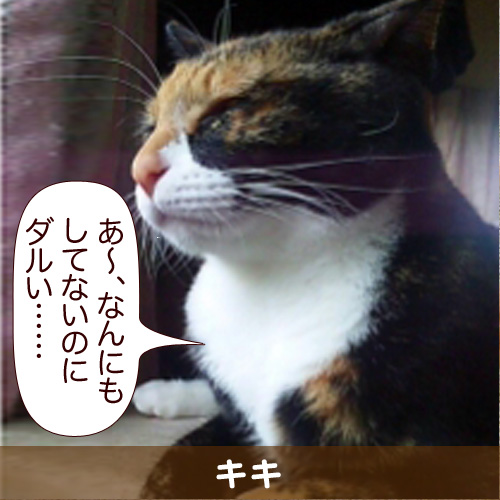 20111202.jpg