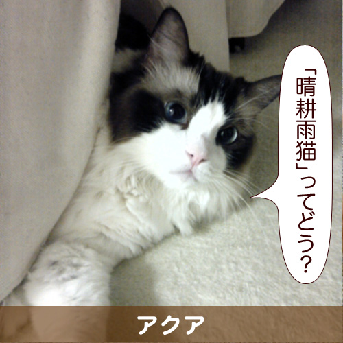 20111203.jpg