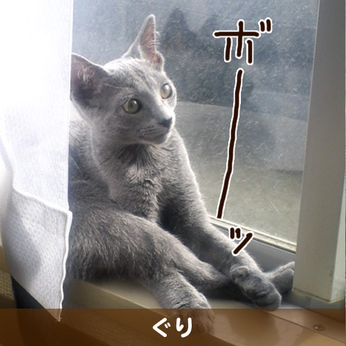 20111204.jpg