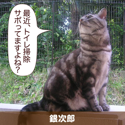 20111224.jpg