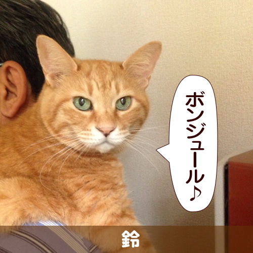 20140218_touko.jpg