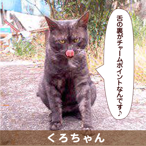 20140220_touko.jpg